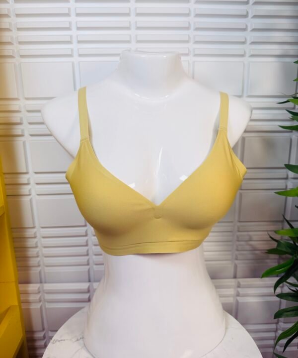 Soie Padded Non wired Medium Coverage Seamless T-shirt Bra