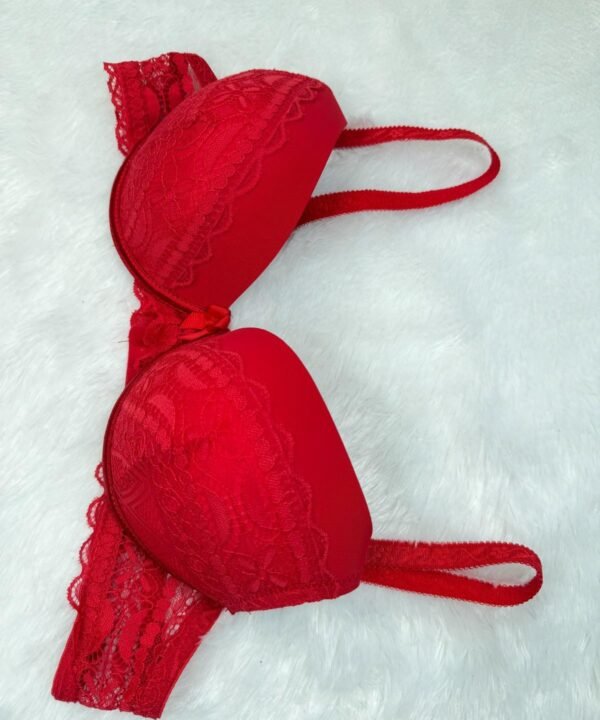 Secret Lives Underwired Heavily Padded LACE BRA